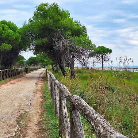 Beautiful One-bedroom With Terrace In Bibione